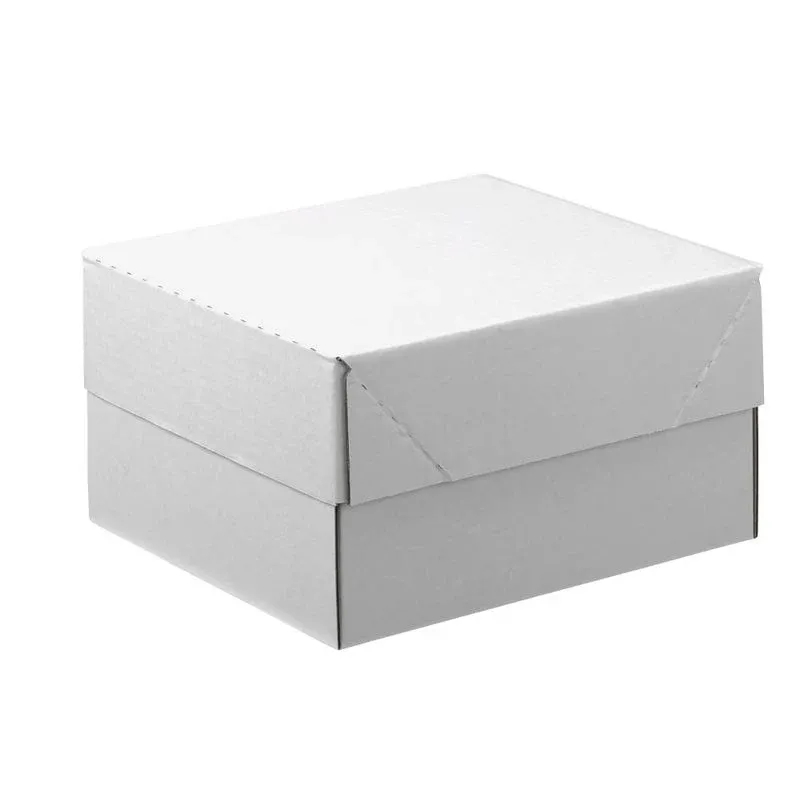 20 Nestler Kartons mit abnehmbarem Deckel 33,8 x 23,8 x 16,7 cm