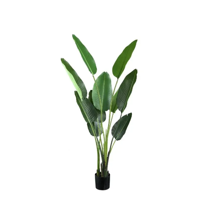 Kunstpflanze - PE Real Touch Strelitzia, Zement, Eisenmetall, PE Kunststoff, Handgefertigt, M | PTMD