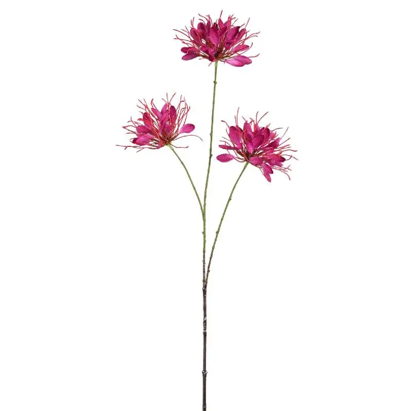 Gartenblume - Burgunderrote Spinnenblume Spray, Polyesterstoff, Halbhändig gefertigt | PTMD