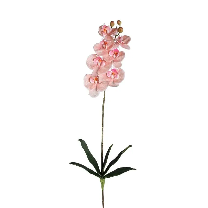 Orchideenblume - Pfirsich Phalaenopsis Spray mit Blättern, Metall, Kunststoff | PTMD