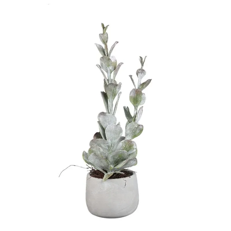Kunstpflanze - Grüne Cotyledon im Topf Hoch, Zement, Kunststoff, L | PTMD