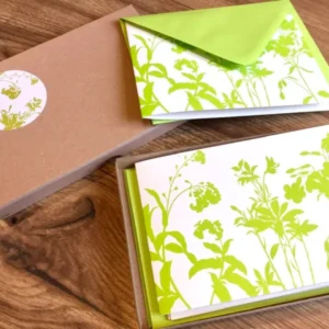 Klappkarten 5x Wiesenkräuter Set grün