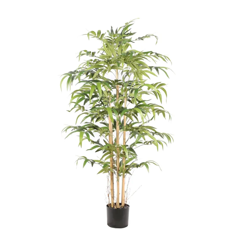 Kunstpflanze – Kunststoffmaterial, Japanisches Design, Bambusstängel, 160 cm - Bamboe Japanese | NeverLeafs