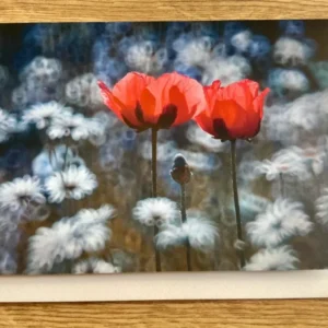 Briefkarte Orientalischer Mohn (art+nature)