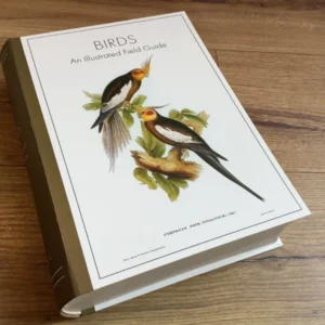Geschenkschachtel Vögel (Punch Studio)°